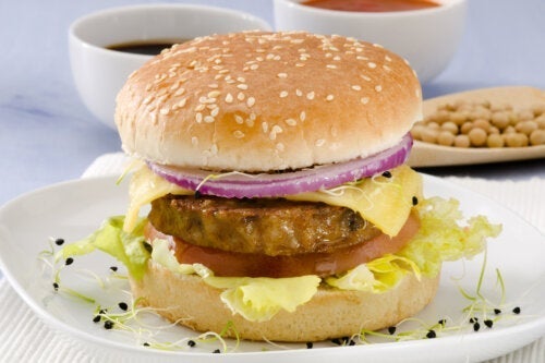 lezzetli-vegan-soya-burger-tarifi