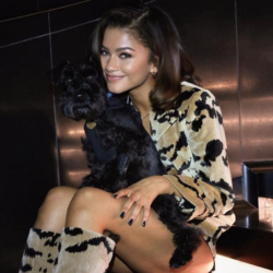 en-ikonik-stil-anlariyla-zendaya