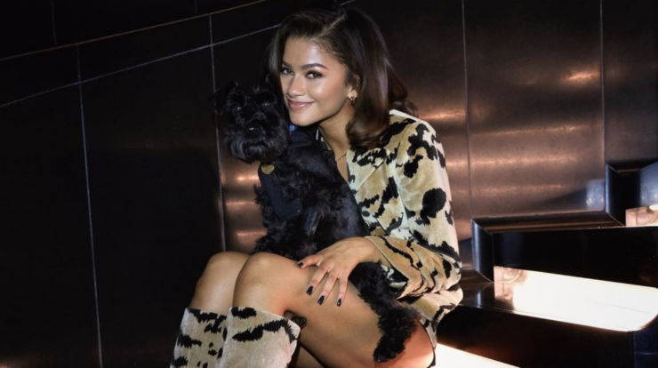 en-ikonik-stil-anlariyla-zendaya